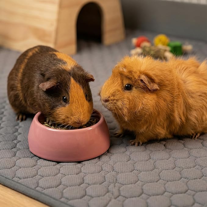 Guinea Pig Cage Liners, 59x31in 2 Pack Washable Guinea Pig Bedding, Waterproof Reusable & Anti Slip, Super Absorbent Guinea Pig Pee Pad for Small Animal, Rabbit, Bunny, Fit for C&C Cage, Brown