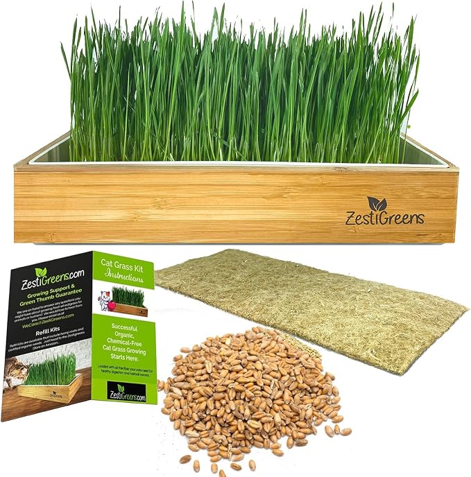 Self-Watering Cat Grass Kit and Cat Grass Refills - 4 Mats and 4 Cat Grass Seed Packets (Cat Grass Refill Kit)