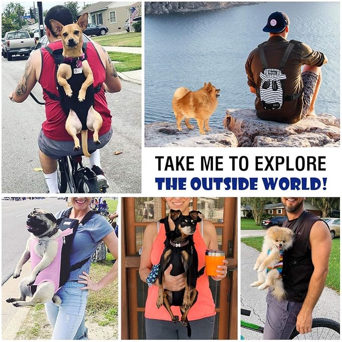 Pawaboo Collapsible Dog Bowls 2 Pack & Pet Carrier Backpack S Size