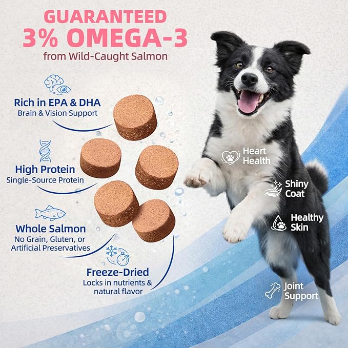 MAJOR PETS Freeze Dried Salmon Dog & Cat Treats - Wild Caught Alaskan Salmon -Single Protein - Grain Free & Gluten Free - Dog Food Toppers & Training Treats - Made and Sourced in The USA - 2.5 oz