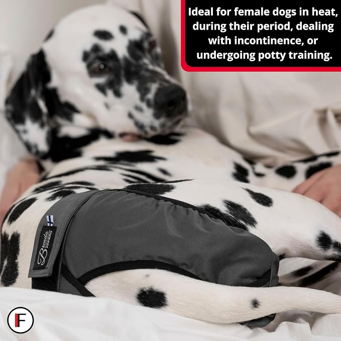 FINNERO Brenda Reusable Dog Diaper, Leak-Proof, Adjustable, Heat & Incontinence Protection, XL – Camo
