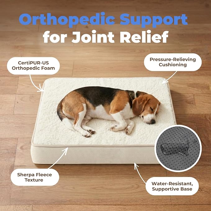 Best Pet Supplies Orthopedic Dog Bed with Memory Foam, Washable Dog Crate Mat for Small, Medium & Large Dogs, Thick Mattress for Crates, Kennels or Floor, Waterproof Pet Bed - Beige, 41 x 29 x 4
