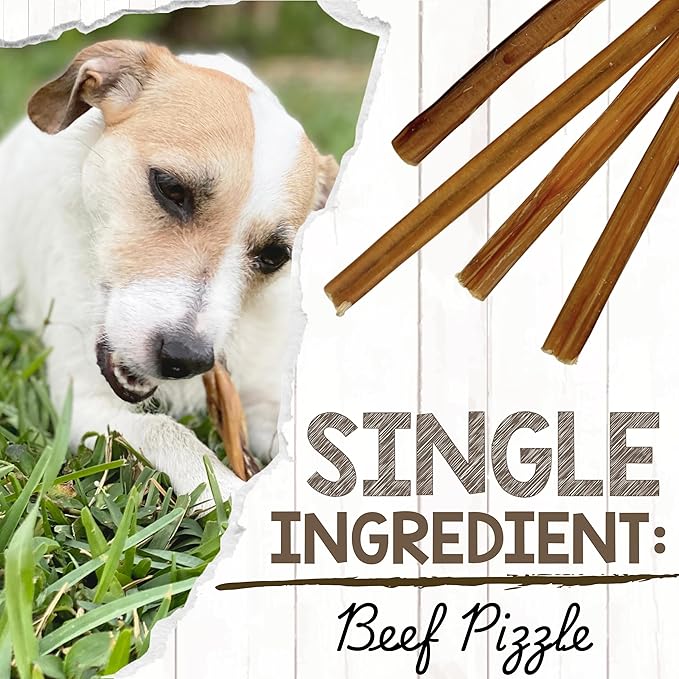 Nature Gnaws Small Bully Sticks for Dogs 5-6" (25 Count) - Long Lasting for Light Chewers and Puppies - Natural Thin Beef Dog Chew Bones - Rawhide Free