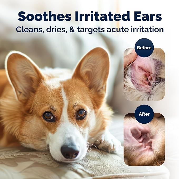 Vetnique Oticbliss Medicated Dog Ear Wipes, Dog & Cat Ear Cleaner Yeast, & Ear Infection Treatment with Hydrocortisone, Antibacterial & Antifungal for Itchy Ears (Medicated Ear Wipes)