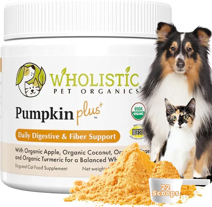 Wholistic Pet Organics Pumpkin Powder for Cats & Dogs - Fiber Supplement Helps with Digestion, Nutrient Absorption, Diarrhea, Constipation - Organic Pumpkin for Dogs & Cats - Puree Food Topper - 8 oz