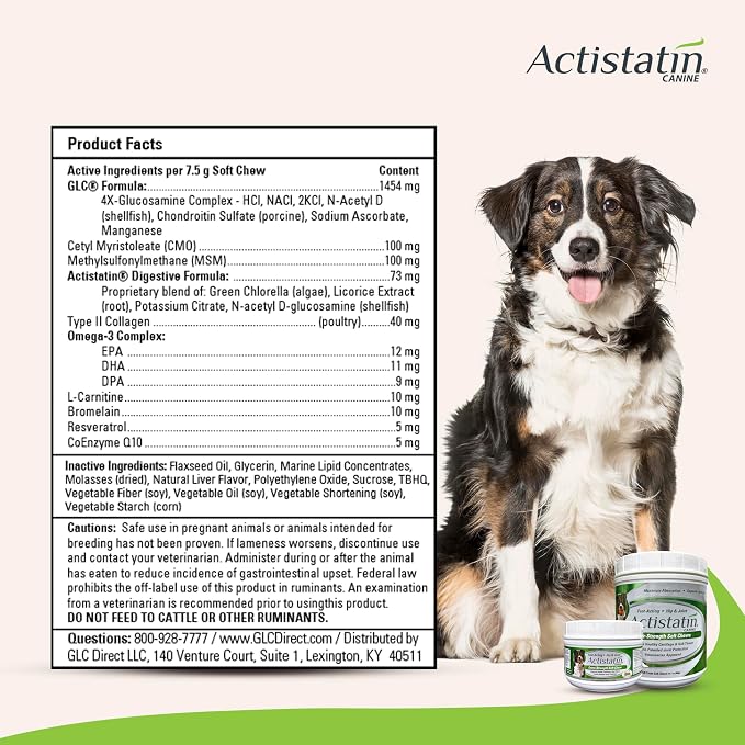 Actistatin Canine Large Dog Soft Chews, 120ct – Patented Extra-Strength Joint, Cartilage, Soft Tissue Supplement: Glucosamine, Chondroitin, Manganese, MSM, L-Carnitine – High Absorption, Fast Results