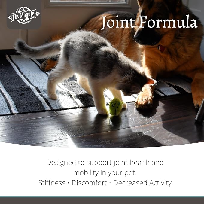 Dr. Maggie Joint Formula for Dogs and Cats with MSM, Glucosamine, and Chondroitin | 240 ml