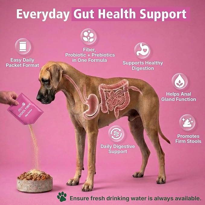 Mervue Stool Fiber for Dogs – Psyllium Husk Powder for Dogs that Boost Firm Stools – Large Dog Digestive Support with Live Probiotics and B-Vitamins for Sensitive Stomach Ease – 21-Pack, 20g Each