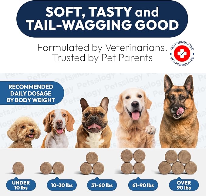 Probiotics for Dogs - 170 Dog Probiotics Chews - Digestive Enzymes & Prebiotics - Support Gut Health, Diarrhea, Gas & Constipation Relief - Itchy Skin, Allergies, Yeast Balance - Advanced Supplement