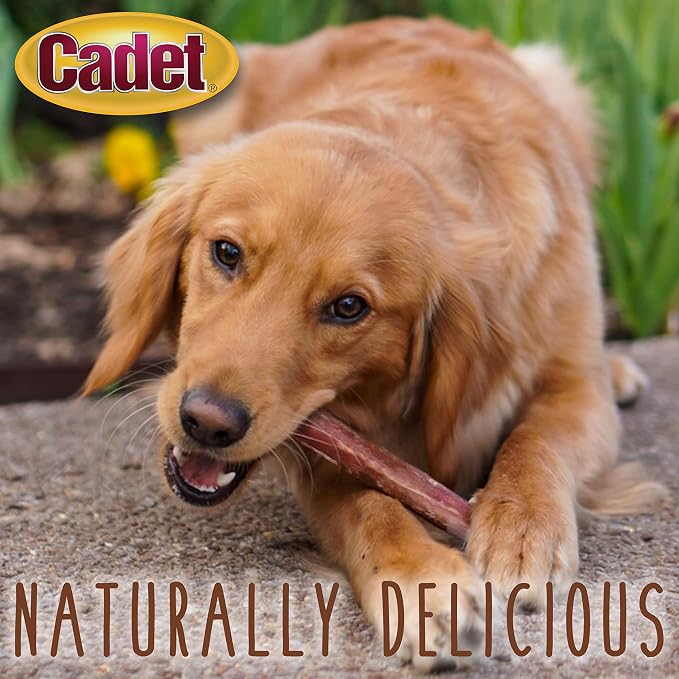 Cadet Bully Sticks for Small Dogs, All-Natural Beef Pizzle, Rawhide-Free Long-Lasting Dog Chews for Aggressive Chewers, 1 Count