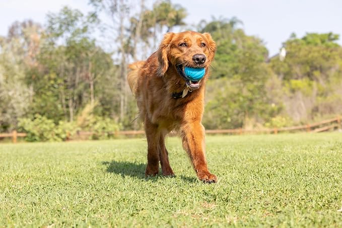 Pet Qwerks Talking Babble Ball - Interactive Chew Dog Toy - Large