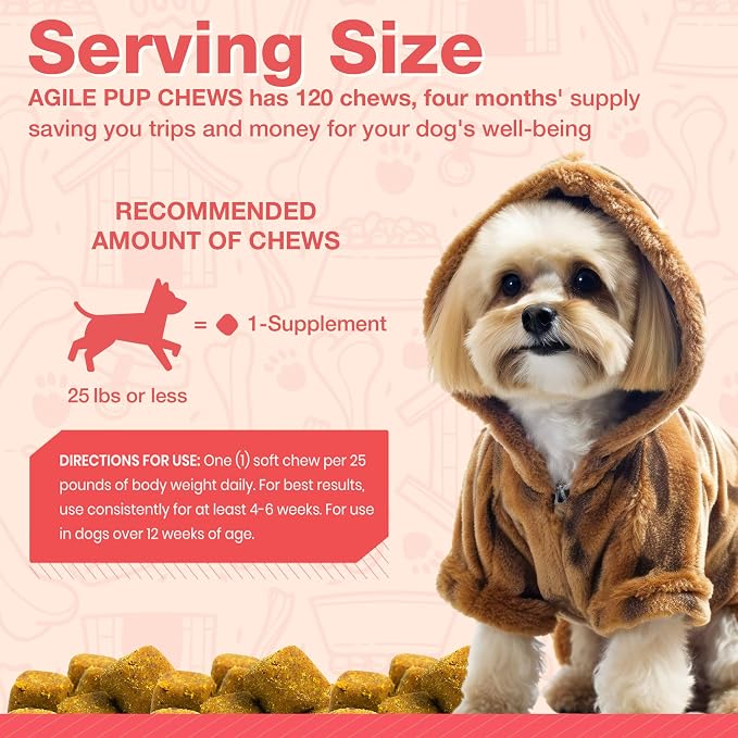 Arthritis Dog Joint Chews| Glucosamine, Chondroitin, Omega-3| MSM Support for Healthy Joints| 240ct Veterinarian Formulated Soft Chews| Up to 4-Month Supply