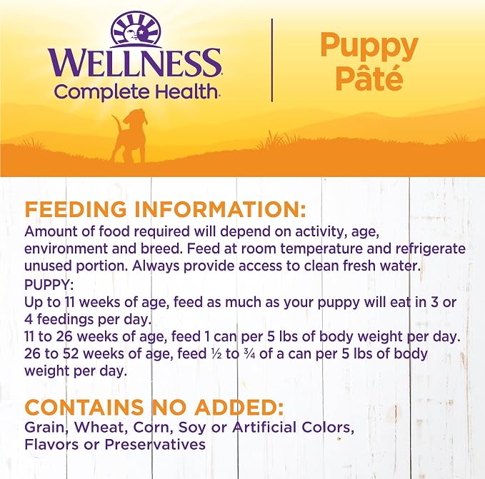 Wellness Complete Health Pate Puppy Canned Wet Dog Food, Wholesome Grains, Natural, Chicken and Salmon Recipe, 12.5 oz, Pack of 12 Cans