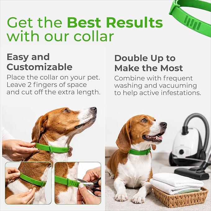 FurLife Flea and Tick Collar for Dogs – Waterproof Blue Dog Collar, Pet Supplies for Tick and Flea Prevention for Dogs, Safe for All Breeds