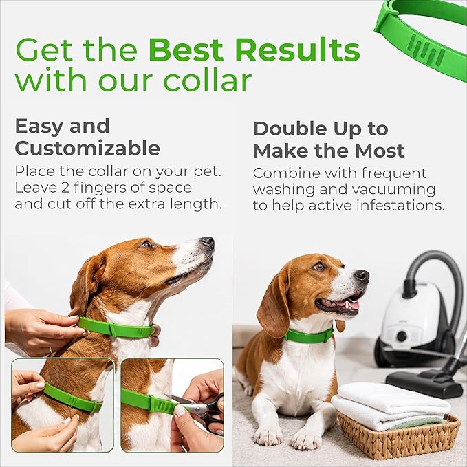 FurLife Flea and Tick Collar for Dogs – Waterproof Black Dog Collar, Pet Supplies for Tick and Flea Prevention for Dogs, Safe for All Breeds