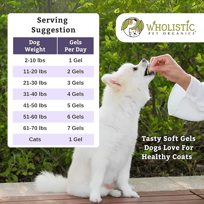 Wholistic Pet Organics Krill Oil for Dogs and Cats - Premium Antioxidant Support for Pets - Cat and Dog Skin and Coat Supplement with EPA, DHA, Astaxanthin - Omega 3 for Dogs and Cats - 60 Soft Gels