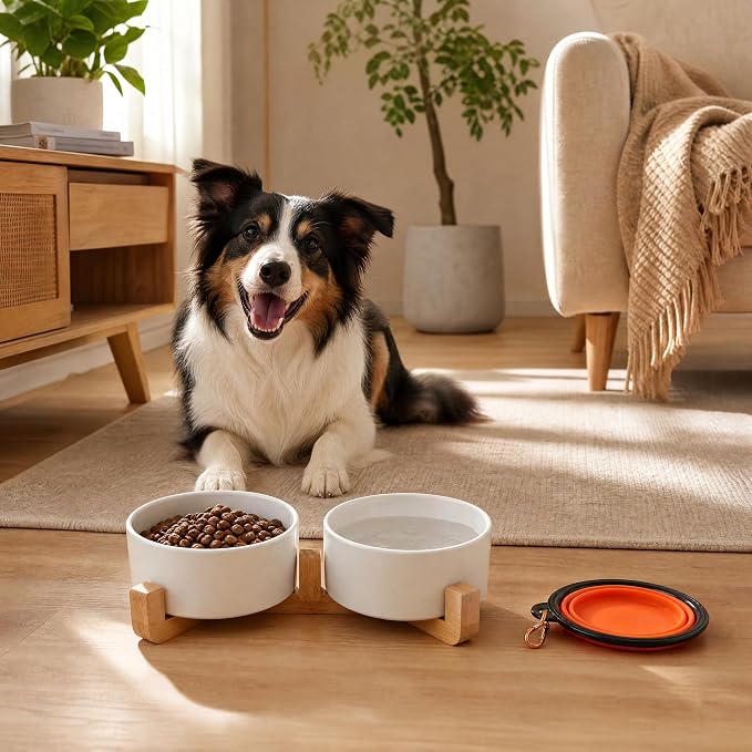 Petygooing Dog Bowls,White Ceramic Cat Dog Bowl Set with Wood Stand for Food and Water Feeder, Modern Pet Dish Set for Cats and Small Size Dogs Puppy (13.5OZ/5.1 in)