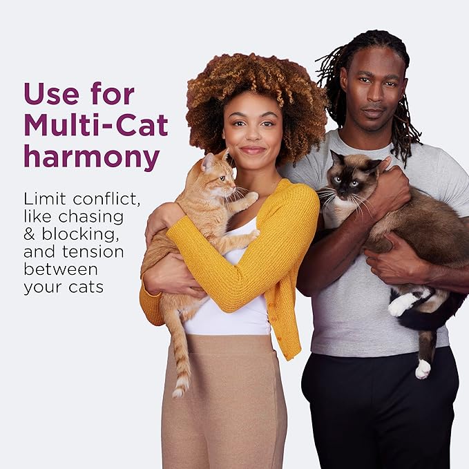 Comfort Zone Multi Cat Calming Diffuser Refill–Pheromone Refills Help Reduce Anxiety, Stress, Scratching, Urine Marking, Multi-Cat Aggression,(30-Day Refills, 1 Year Supply)(Pack of 12)