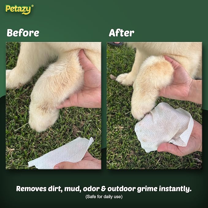 Petazy Pet Wipes for Dogs and Cats – 100 Count (8x8in) Hypoallergenic, Deodorizing Dog Wipes for Paws, Ears and Butt | XL with Aloe & Coconut Oil, Chamomile Scented | Travel Size, On-the-Go Pack