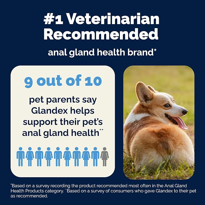 Vetnique Glandex Anal Gland Soft Chew Treats with Pumpkin for Dogs Digestive Enzymes, Probiotics Fiber Supplement for Dogs Boot The Scoot (Bacon Flavor Chews, 30 Count) (Pack of 2)