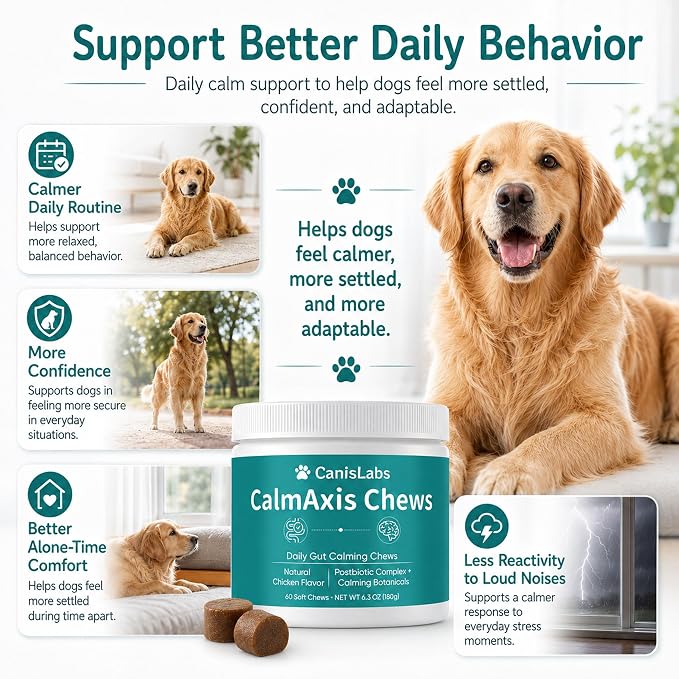 Calmaxis Postbiotic Chews, Calming Chews for Dogs, Daily Gut Support with Postbiotics + L-Theanine for Puppies Small All Dogs, Reduce Stress and Anxiety, Chicken Flavor, 60 Soft Chews