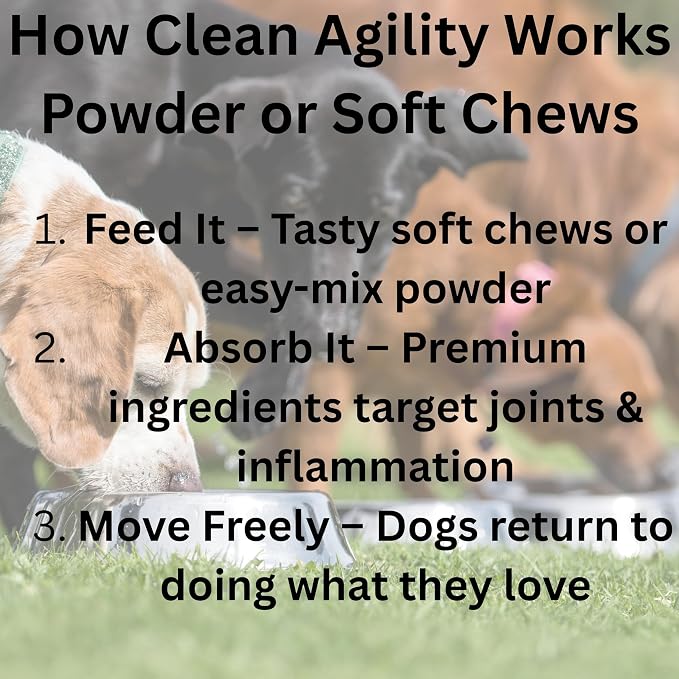 Joint Health for Dogs - Most Effective Natural Hip & Joint Supplement Available - Formulated with Veterinarians, Glucosamine, Chondrointin, MSM, Turmeric (Powder)