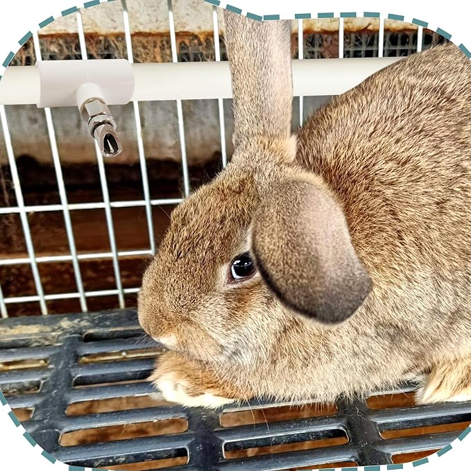 6pcs Stainless Steel Rabbit Water Nipples Automatic PVC Tees Rodent Waterering System