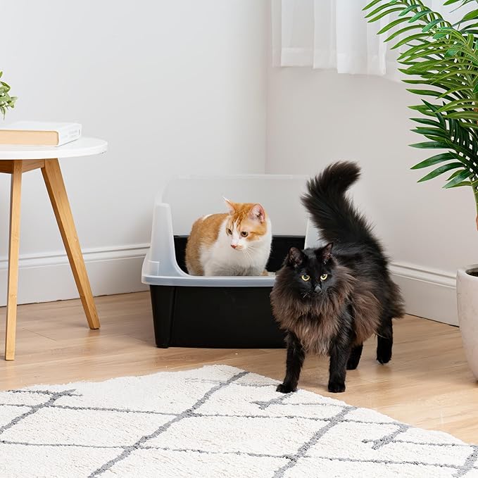 IRIS USA Extra Large Litter Box XXL Open Top High Sided Walls Scatter Shield Scoop Included Easy Clean Plastic Pan for Big Cats Multi-Cat Households 30" L x 20" W x 14" H Black