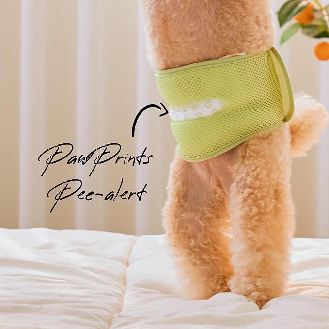 WICKEDPUP Male Dog Belly Band Kit, 50 Diaper Pads & 1 Reusable Male Wrap (Size 1 (14"-17.5" Waist))