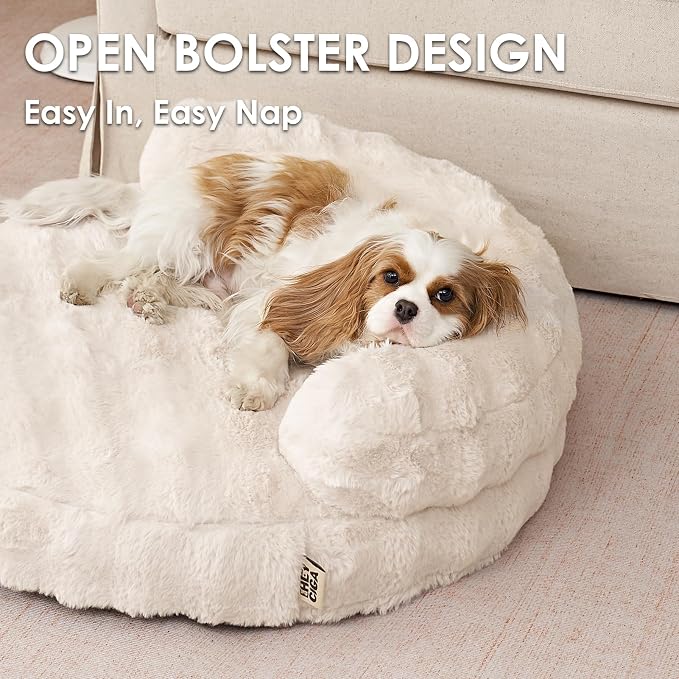 EHEYCIGA Soft Cat Couch Bed for Indoor Cats, Fluffy Extra Small Dog Bed with Removable Washable Cover, Bolster Pet Sofa, Waterproof and Non-Slip, 20" x 20"x 6.5", Cream
