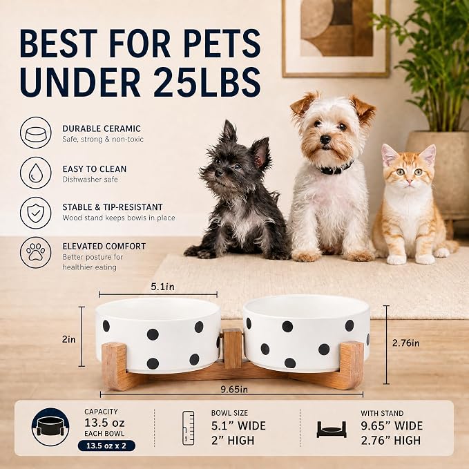 Petygooing Ceramic Dog Bowl Set with Stand,Cat Pet Food and Water Dishes,Small Dog Bowls Anti -Slip Set of 2 Cat Bowls Pet Food Dish Small Size Pet (13.5OZ/5.1 in) Black Dot