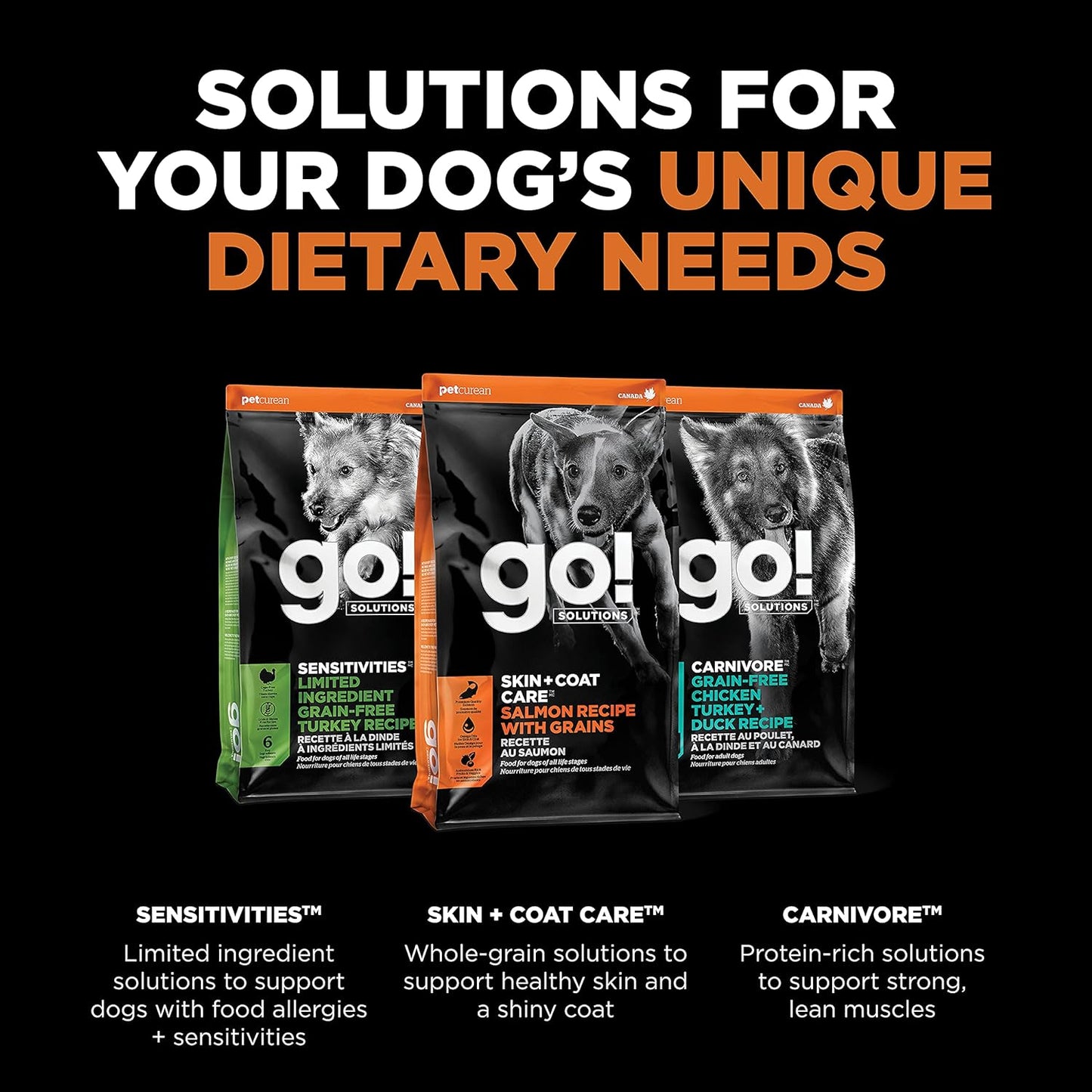 Go! Solutions Skin + Coat Care, Dry Dog Food, Salmon Recipe with Grains, 12 lb Bag