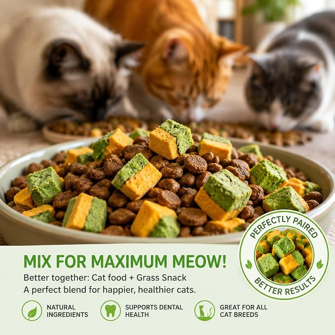 Cats Toy Kitten Grass Treats 70g/2.47oz Freeze Dried 2 in 1 Fish Oil Cat Chew Stick Pellet for Hairball Removal Kitty Catnip Snack Chicken Flavor for Cleaning Teeth & Dental Care Food Indoor