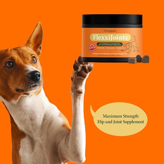 NZorganix FlexxiJoints 100% New Zealand Green-Lipped Mussel Powder, Hip & Joint Support Formula for Dogs & Cats, with Glucosamine, Chondroitin 200g (600 Servings)