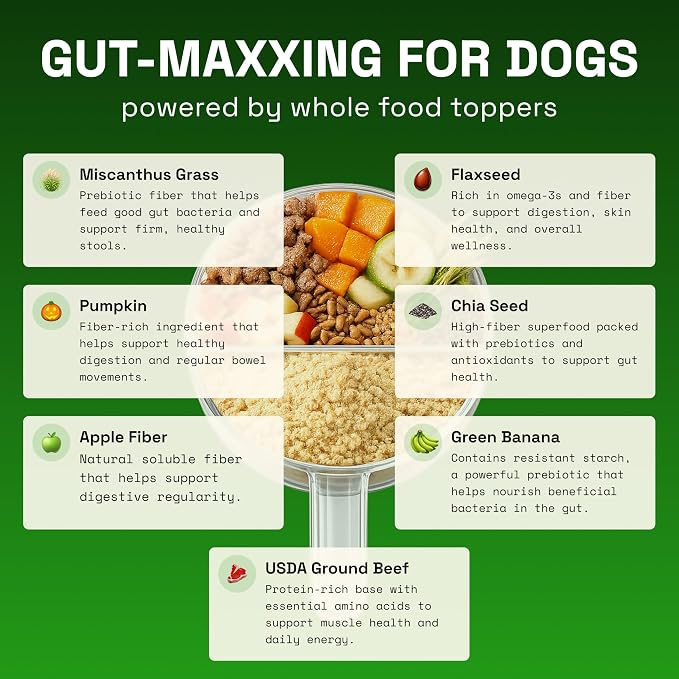 Gut Health Topper for Dogs – Digestive Support Powder with Real Beef, Pumpkin, Apple Fiber & Prebiotic Fiber | Helps Support Firm Stools, Sensitive Stomachs & Healthy Digestion | 100g