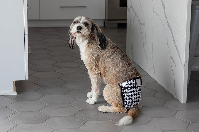 Pet Parents® Washable Dog Diapers (3pack) + Extendrs® of Durable Doggie Diapers, Premium Dog Diapers Female (Medium, Luxe)