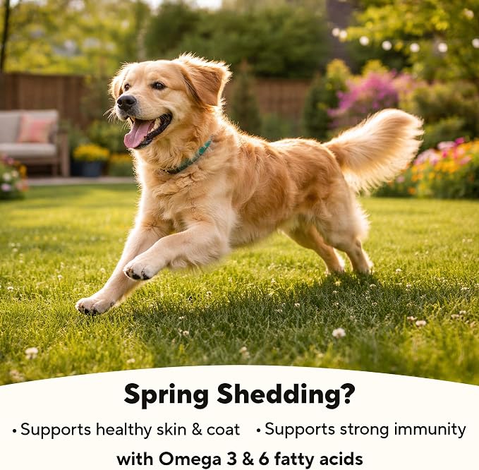 Dave's Pet Food Sensitive Skin Dog Food for Skin and Coat (Chicken & Sweet Potato), Wet Canned, Made in USA, 13.2oz Cans (12 Pack)