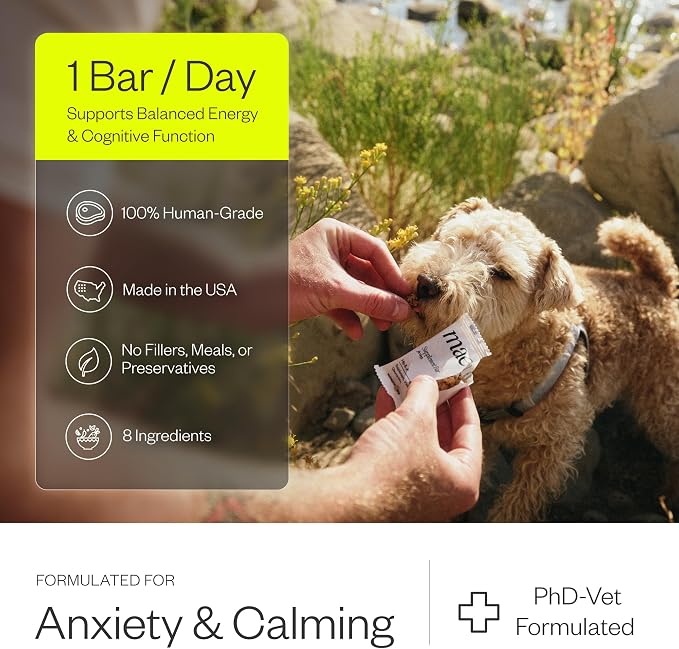 MAEV Human-Grade Anxiety & Calming Supplement Bars | Natural Support for Stress Relief & Calm Behavior, 30 Count