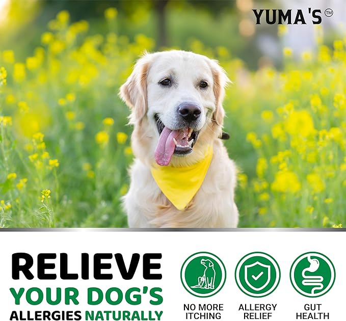 Dog Allergy Relief Chews - Dog Itching Skin Relief Treatment Pills - 170 Treats - Anti-Itch Chewables - Itchy and Paw Licking - Hot Spots - Omega 3 Fish Oil - Dry Skin & Coat Supplement