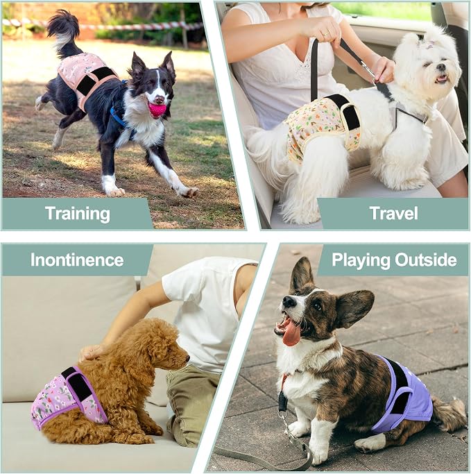 Washable Female Dog Diapers (5 Pack) - Doggie Reusable Small Medium Large Dog Diapers for Doggy Puppy Female in Period - Highly Absorbent Dog Heat Panties,S Plus,Flowers