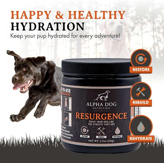 Active K9 Bundle: Free Range Joint Support + Resurgence Electrolytes