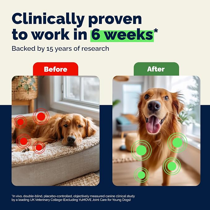 YuMOVE Adult Dog Hip & Joint Soft Chews, ActivEase Green Lipped Mussel, Glucosamine for Dogs, Hyaluronic Acid & Omega 3 - Barbecue Flavor (150ct Chews, Regular Strength)