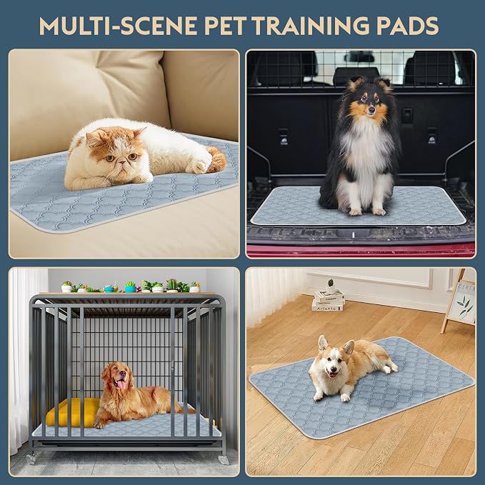 FunFurry Washable Pee Pads for Dogs - Reusable, Waterproof, Super Absorbent with Non-Slip Backing (Light Grey, 24" X 24" - 2 Pack)