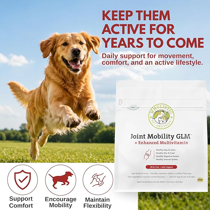 Wholistic Pet Organics - Hip and Joint Supplement for Dogs & Cats - Cat and Dog Joint Supplement - Green Lipped Mussels, Chondroitin, Glucosamine for Dogs & Cat Mobility Support - 2 Lb - 90 Scoops