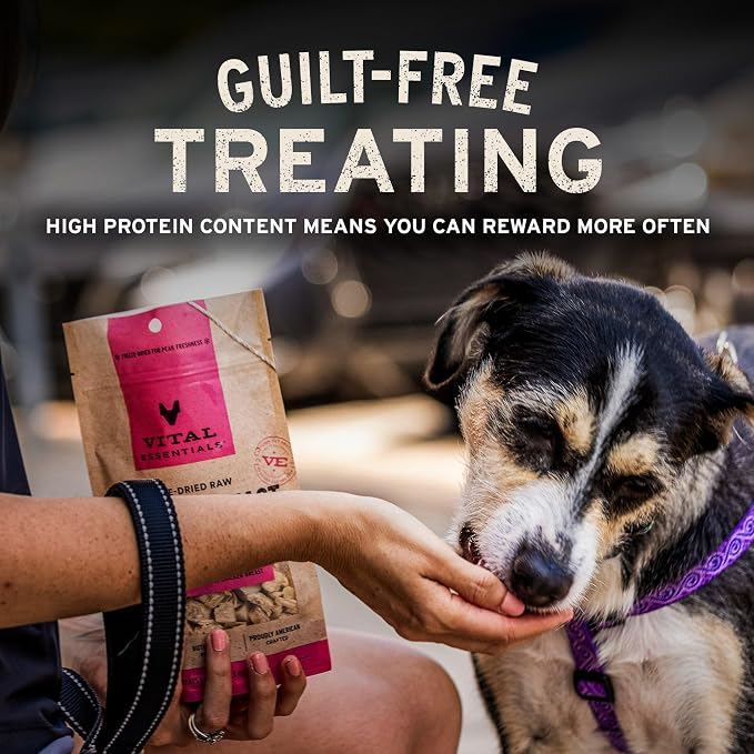 Vital Essentials Freeze Dried Dog Treats | Beef Liver, Single Ingredient | Premium Quality | Grain Free Training Treats for Dogs, 2.1 oz Bag (Pack of 2)