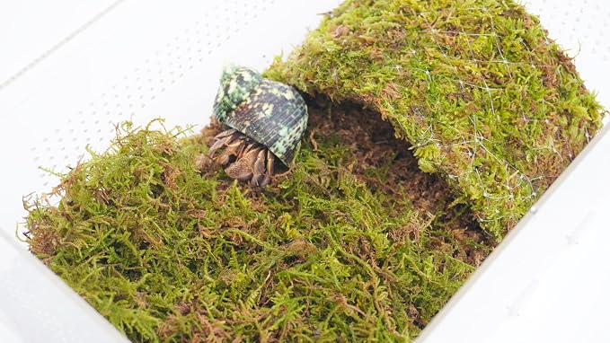 Hermit Crab Cage, Hermit Crab Starter Kit with Tank and 2QT Substrate and a 8 Inch Hideout