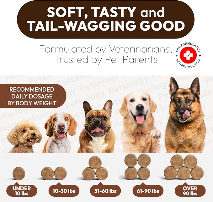 Turkey Tail Mushroom for Dogs - 250 Chews - Lion’s Mane - Shiitake - Reishi - Buddy Immune Support Guard - Lipoma Mushroom Supplement for Dogs Lumps and Bumps Glucosamine, Health Vitamins Multivitamin