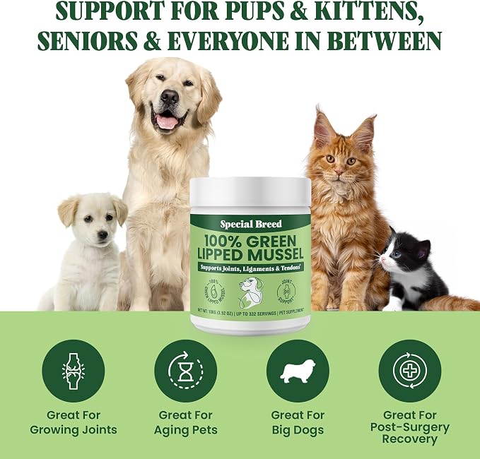 Special Breed Green Lipped Mussel Powder for Dogs & Cats - 100% New Zealand - Natural Hip & Joint Supplement for Joints, Tendons, Ligaments, Muscles - 100 Grams - Up to 332 Servings