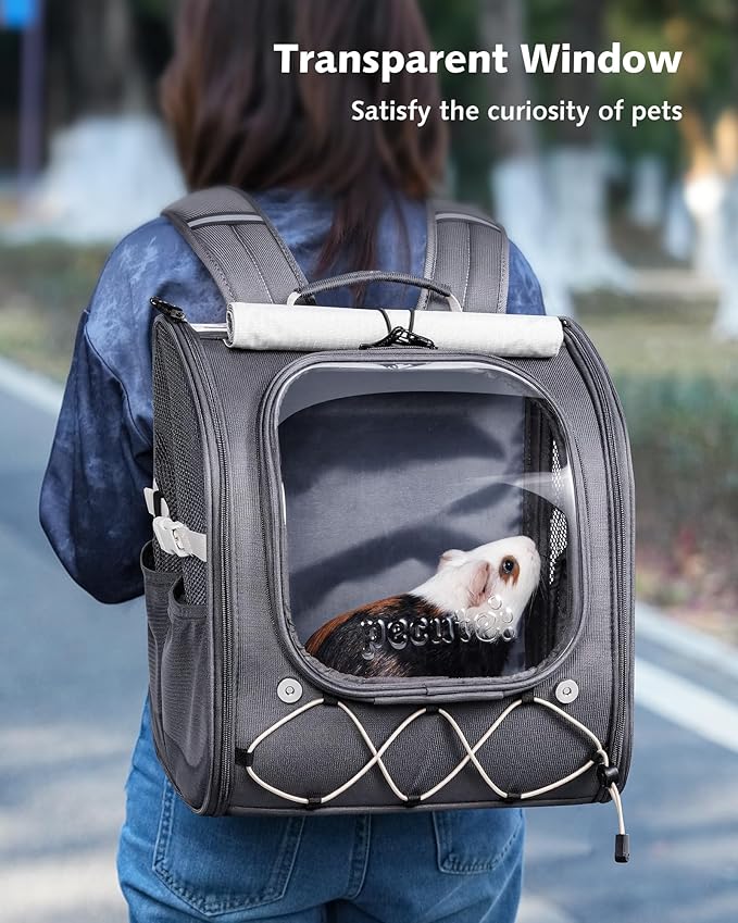 Pecute Small Pet Carrier, Breathable Bearded Dragon Carrier, with Transparent Bubble & Steel Frame, Safety Lock for Hamster, Rabbit, Guinea Pig, Parrot, Kitten, Puppy, Ideal for Travel/Vet Visits/Camp