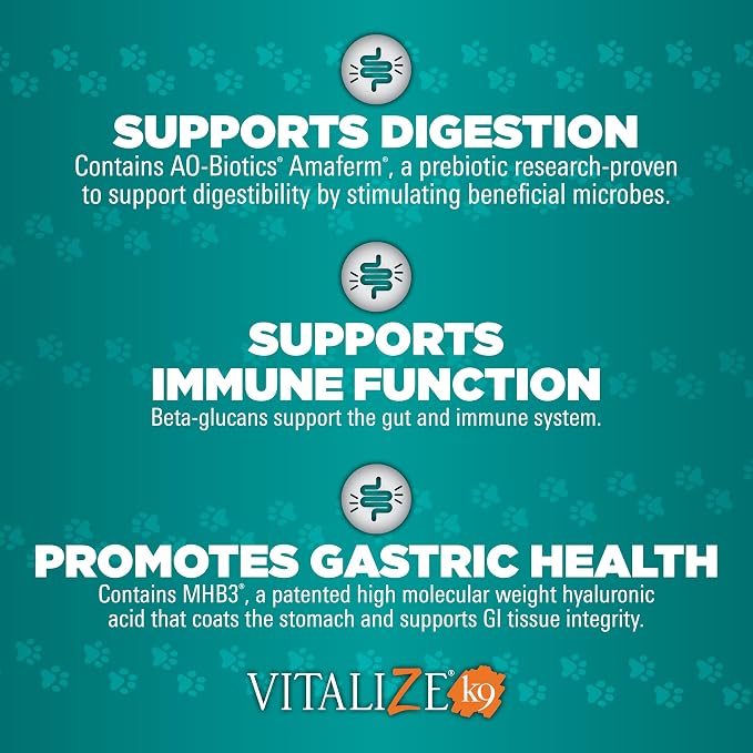 Vitalize Alimend K9, 6 Oz - Dog Upset Stomach Supplement for Nausea, Vomiting & Diarrhea - Natural for Small Dogs - Supports Digestion, Immunity & Gastric Health - Safe for Daily Use